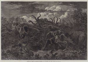 Scènes van Zuid-Afrikaanse reizen, een aanval in de nacht